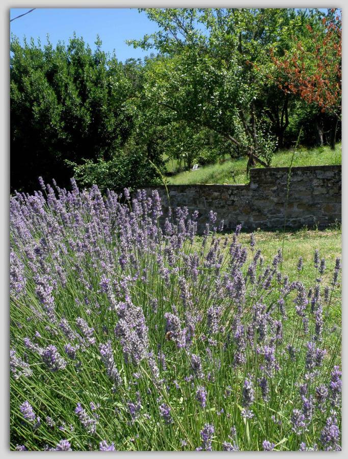 Bed and Breakfast Cascina Luvot à Melazzo Extérieur photo